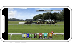Virtual horse racing example